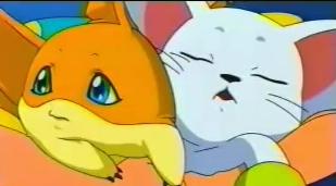 Patamon and Gatomon