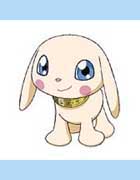 Salamon